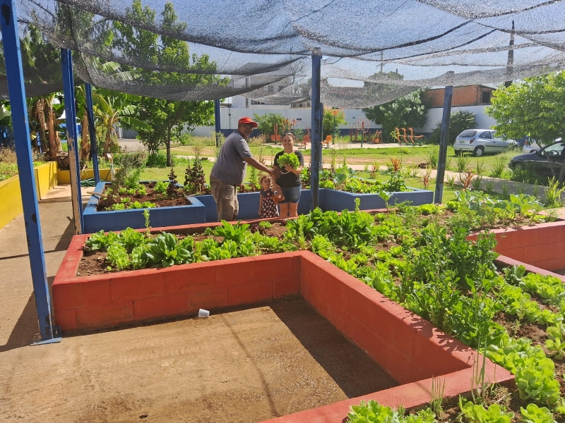 Horta Comunitária Promove Inclusão Social no CRAS Jardim Brasil em Hortolândia