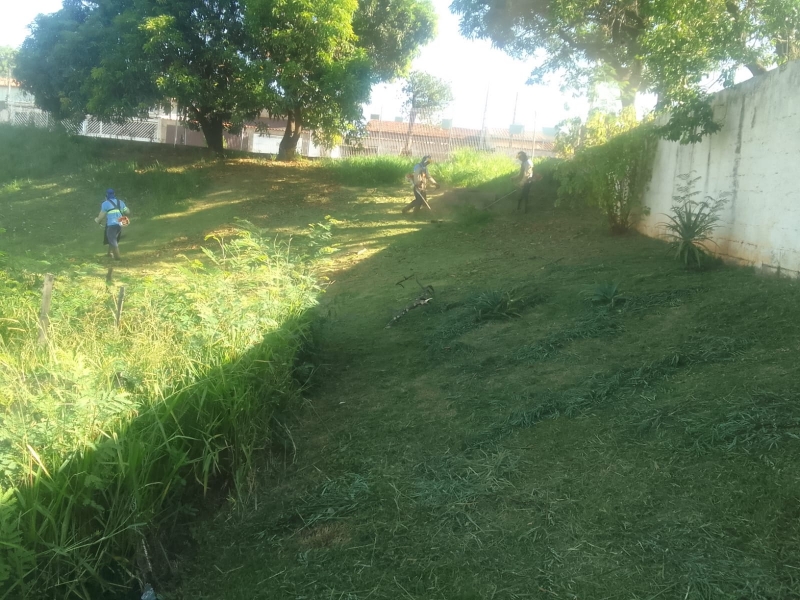 Trabalho Intensivo de Poda e Limpeza em Hortolândia