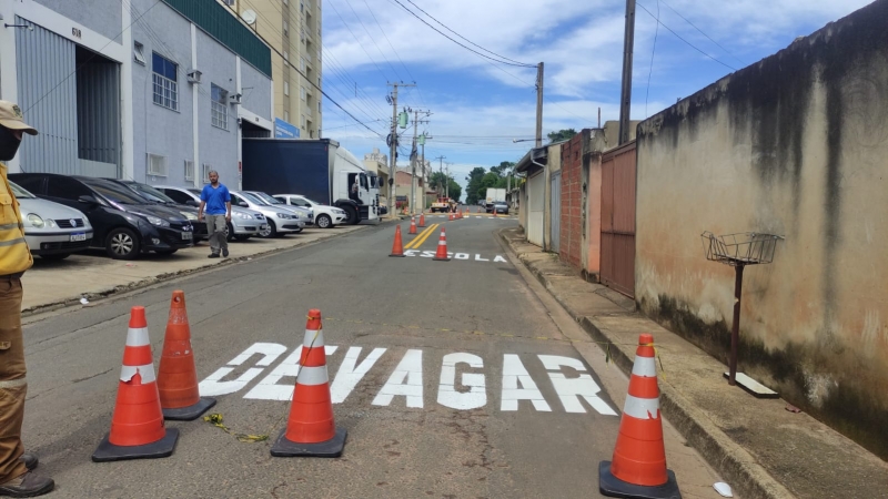 Segurança Viária em Hortolândia - Um Olhar Para a Sinalização em Torno das Escolas