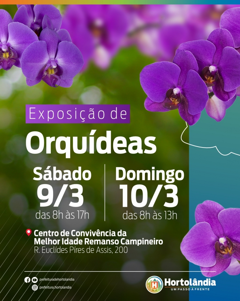 Centro de Convivência do Idoso de Hortolândia promove exposição de orquídeas