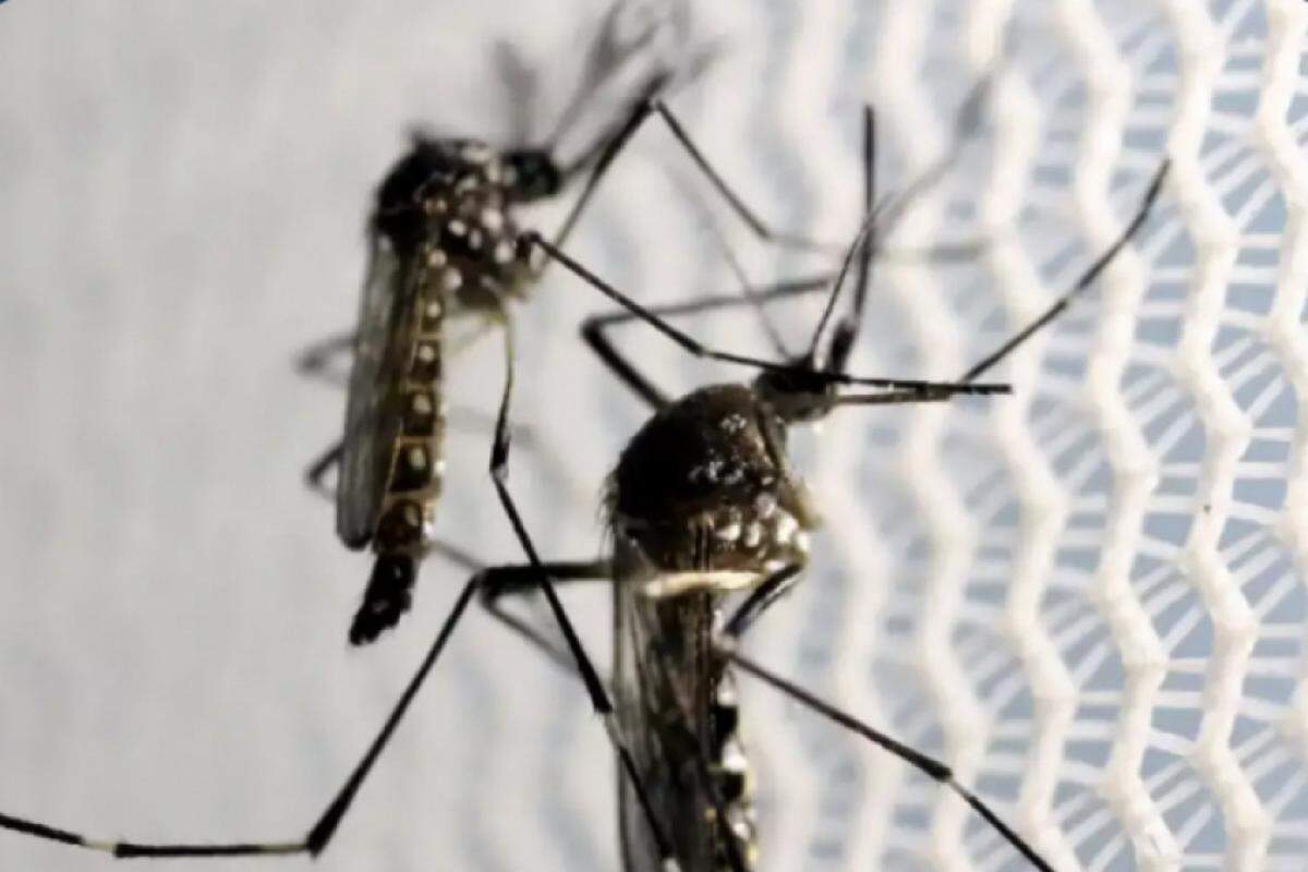 Primeira morte por dengue em Jaguariúna em nove anos