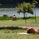 ALERTA Onda de Calor em S o Paulo Pode Chegar a 40 C Saiba Como se Proteger e Fique Atento s Regi es Mais Afetadas