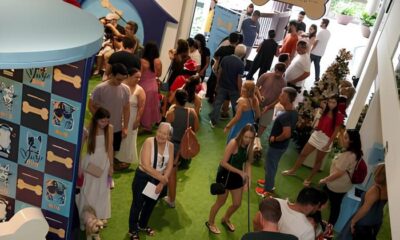 Carnaval 2025 e o Encontro Pet no Galleria Shopping Um Dia Inesquec vel para Tutores e C es
