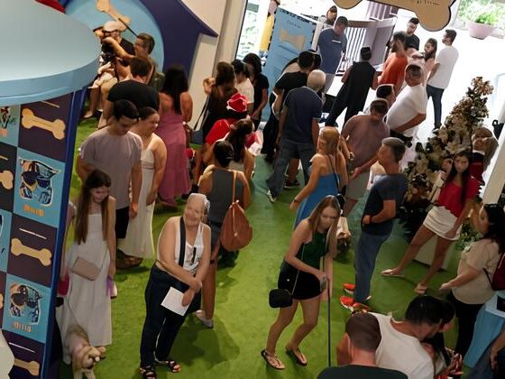 Carnaval 2025 e o Encontro Pet no Galleria Shopping: Um Dia Inesquecível para Tutores e Cães! 13 Carnaval 2025 e o Encontro Pet no Galleria Shopping Um Dia Inesquec vel para Tutores e C es