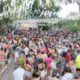 Carnaval 2025 em Campinas A Folia Come a Aqui Confira a Programa o Completa e N o Fique Fora da Divers o