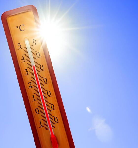 Como Sobreviver à Onda de Calor em Hortolândia: Dicas Práticas e Alertas Essenciais 13 Como Sobreviver Onda de Calor em Hortol ndia Dicas Pr ticas e Alertas Essenciais