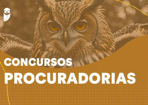 Concurso PGM Campinas: Tudo o que Você Precisa Saber para Iniciar sua Preparação 13 Concurso PGM Campinas Tudo o que Voc Precisa Saber para Iniciar sua Prepara o