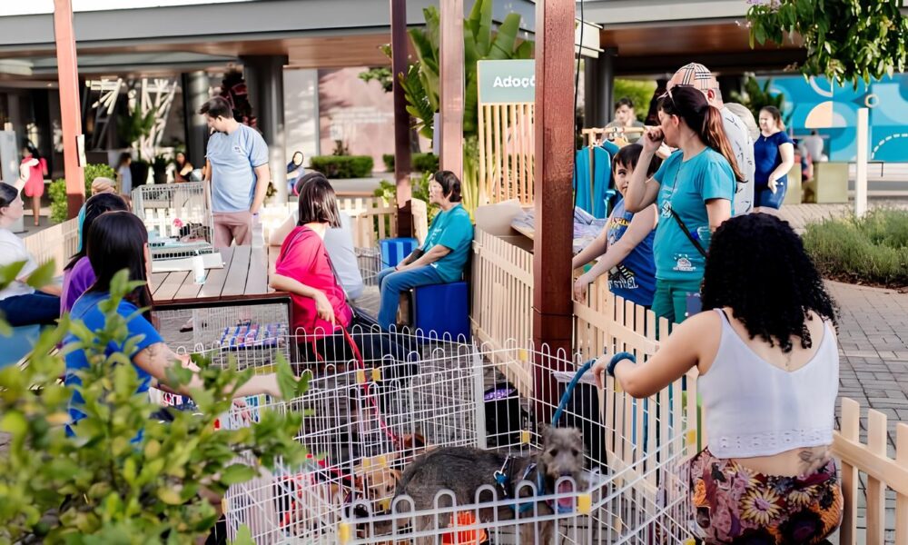 Feira de Ado o no Parque Dom Pedro O Evento que Vai Aquecer Seu Cora o e Transformar Vidas