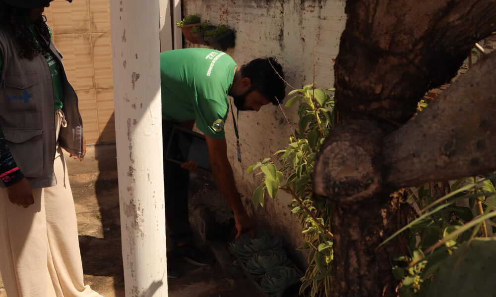 Hortol ndia Registra Primeira Morte por Dengue em 2025 O Que Sabemos e Como Combater o Aedes Aegypti