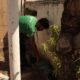 Hortol ndia Registra Primeira Morte por Dengue em 2025 O Que Sabemos e Como Combater o Aedes Aegypti