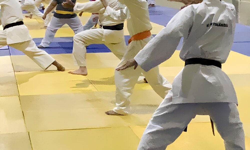 Inscri es Abertas Garanta Sua Vaga nas Escolinhas Esportivas de Hortol ndia em 2025