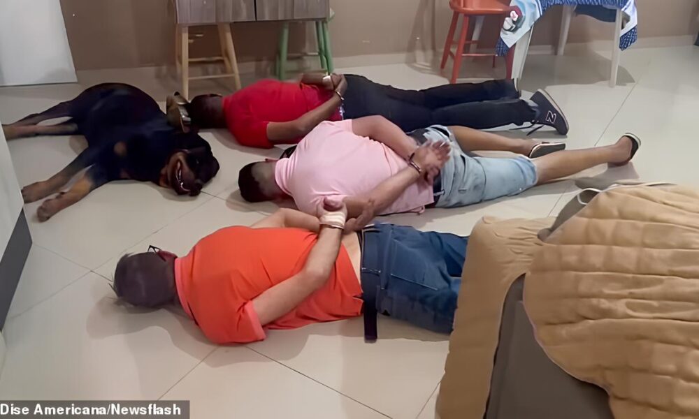 Momento Hilarious C o de Guarda de Quadrilha de Drogas Decide Se Render Durante Pris o no Brasil