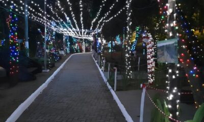 Neve Artificial em Hortol ndia O Evento Encantador que Vai Transformar o Natal da Cidade