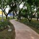 Por Que os Parques de Campinas Est o Fechados em 17 02 2025 Descubra Tudo Aqui
