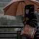 Previs o do Tempo em Hortol ndia SP O Que Esperar de Hoje e Como Se Preparar para os Dias Chuvosos