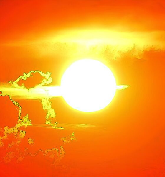 Segunda-feira Escaldante em Hortolândia: O Que Fazer Quando o Termômetro Chega aos 36°C? 13 Segunda feira Escaldante em Hortol ndia O Que Fazer Quando o Term metro Chega aos 36 C