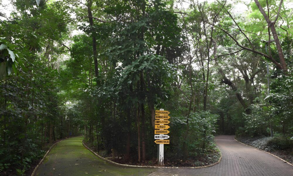 Tr gua nas Chuvas Parques de Campinas Reabrem Ap s Temporada de Chuvas Intensas O Que Voc Precisa Saber