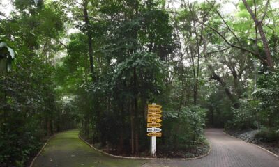 Tr gua nas Chuvas Parques de Campinas Reabrem Ap s Temporada de Chuvas Intensas O Que Voc Precisa Saber