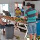 10 Festa do Milho Um Evento que Celebra a Cultura Comunidade e Sabor em Campinas