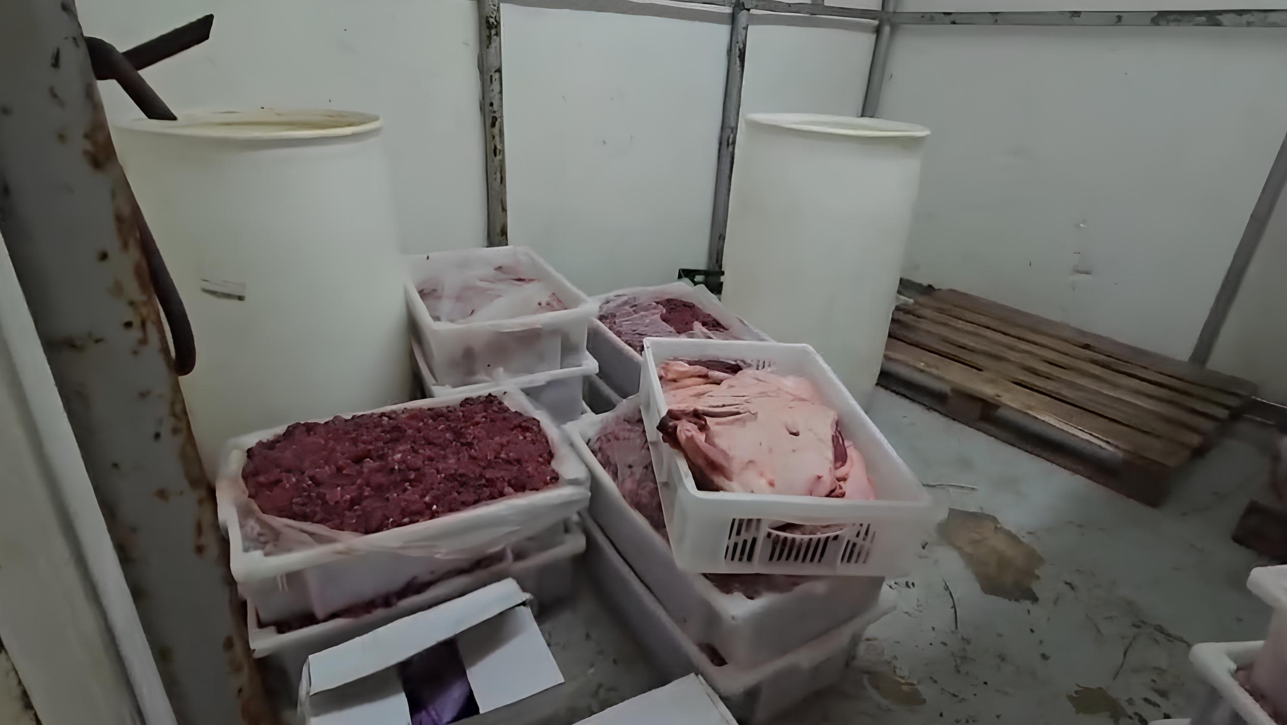 37 Toneladas de Perigo: A Operação que Desmascarou um Frigorífico Irregular em Hortolândia 3 37 Toneladas de Perigo A Opera o que Desmascarou um Frigor fico Irregular em Hortol ndia