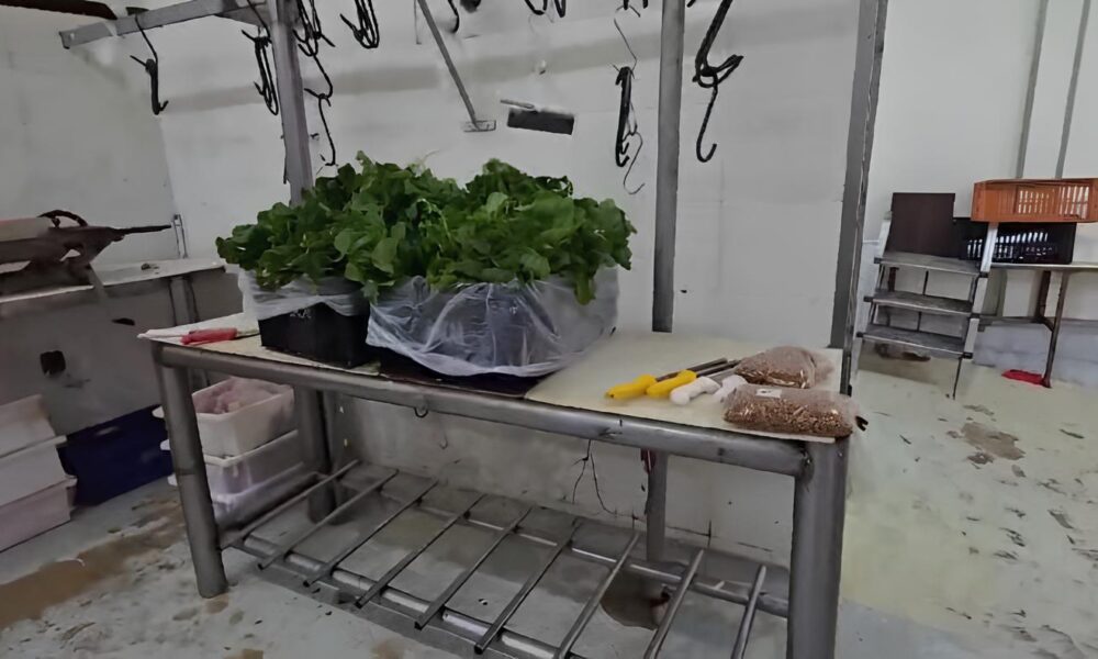 38 Toneladas de Perigo A Hist ria Por Tr s da Opera o que Salvou Milhares de Consumidores em Hortol ndia