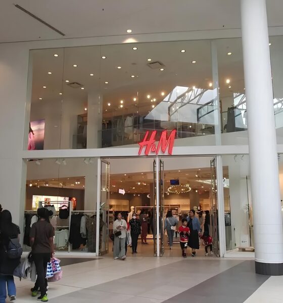 A Chegada da H&M ao Brasil: Uma Revolução na Moda ou Mais do Mesmo? 13 A Chegada da H M ao Brasil Uma Revolu o na Moda ou Mais do Mesmo