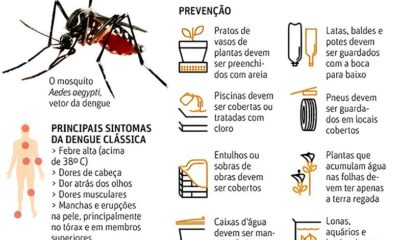 A Epidemia Silenciosa Como a Dengue Est Transformando Vidas em Santa B rbara e Hortol ndia