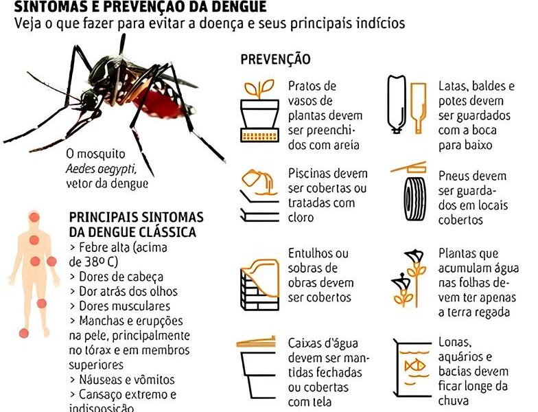 A Epidemia Silenciosa Como a Dengue Est Transformando Vidas em Santa B rbara e Hortol ndia