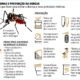 A Epidemia Silenciosa Como a Dengue Est Transformando Vidas em Santa B rbara e Hortol ndia