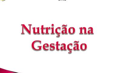 A Jornada de um T cnico de Nutri o Como Transformar Paix o por Alimenta o em uma Carreira Promissora