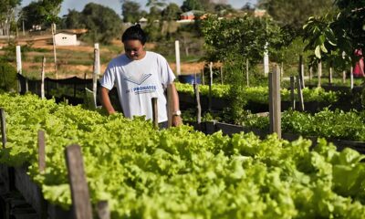 A Oportunidade Que Pode Mudar Sua Vida Como uma Vaga de Ajudante Geral na Grupo Delly s Pode Ser o Primeiro Passo para um Futuro Promissor