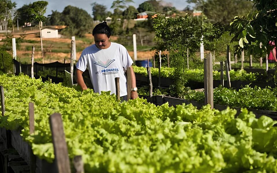 A Oportunidade Que Pode Mudar Sua Vida Como uma Vaga de Ajudante Geral na Grupo Delly s Pode Ser o Primeiro Passo para um Futuro Promissor