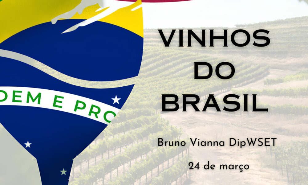 A Revolu o dos Vinhos Brasileiros Por Que Voc N o Pode Perder Esta Aula Especial em Campinas