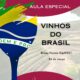 A Revolu o dos Vinhos Brasileiros Por Que Voc N o Pode Perder Esta Aula Especial em Campinas