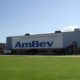 Ambev Lan a Programa de Est gio 2025 140 Vagas em Campinas e Regi o Ser Sua Chance de Entrar no Mercado