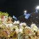 Carnaval 2025 Beija Flor Conquista o 15 T tulo em Noite Hist rica no Rio de Janeiro