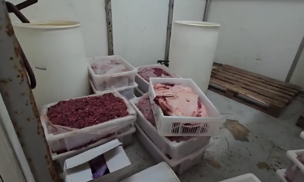 Caso Carne Fria O Esc ndalo das 38 Toneladas de Alimentos Impr prios no Interior de SP