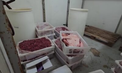 Caso Carne Fria O Esc ndalo das 38 Toneladas de Alimentos Impr prios no Interior de SP