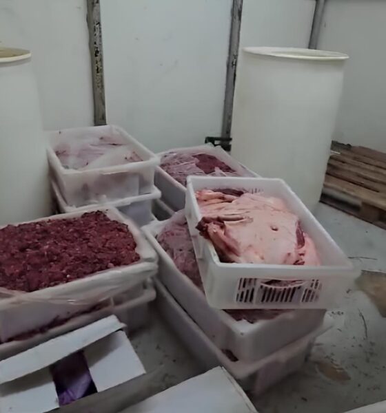 Caso Carne Fria: O Escândalo das 38 Toneladas de Alimentos Impróprios no Interior de SP 4 Caso Carne Fria O Esc ndalo das 38 Toneladas de Alimentos Impr prios no Interior de SP