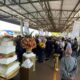 Ceasa de Campinas 50 Anos Alimentando uma Regi o e Reinventando o Futuro
