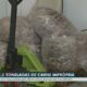Comida no Prato ou Veneno Disfar ado O Aumento Assustador de Intoxica es Alimentares em Campinas e o Perigo nas G ndolas
