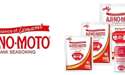 Como Conquistar o Cargo dos Sonhos na Ajinomoto O Guia Definitivo para se Tornar um Analista de Almoxarifado de Excel ncia