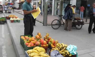 Como Conquistar o Mercado A Oportunidade de Crescimento na Kamok Alimentos