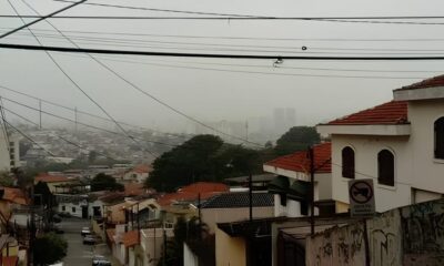 Como Conquistar o Mercado de Vendas Externas em 2024 A Hist ria da Kamok Alimentos e Suas Oportunidades