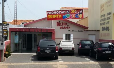 Como Transformar Sua Carreira em Vendas Externas A Oportunidade nica na Kamok Alimentos