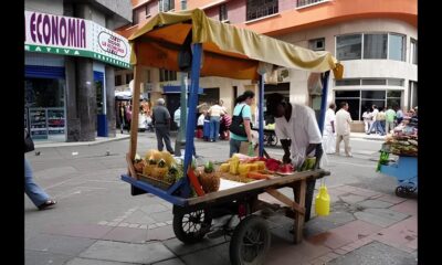 Descubra Como Conquistar o Cargo de Vendedor Externo na Kamok Alimentos Uma Jornada Rumo ao Sucesso
