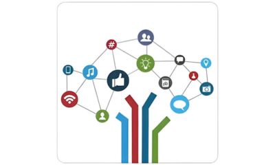 Descubra Como a Rede Decis o Est Revolucionando o Mercado Educacional no Brasil Uma Oportunidade nica para Consultores de Vendas