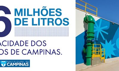 Descubra Como a Terapia Ortomolecular Est Revolucionando o Equil brio Mental e Profissional no S culo XXI