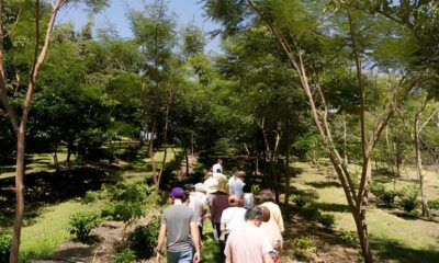 Descubra o Futuro Sustent vel Como uma Viv ncia em Agrofloresta no S tio Boa Pode Transformar sua Vida
