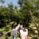 Descubra o Futuro Sustent vel Como uma Viv ncia em Agrofloresta no S tio Boa Pode Transformar sua Vida